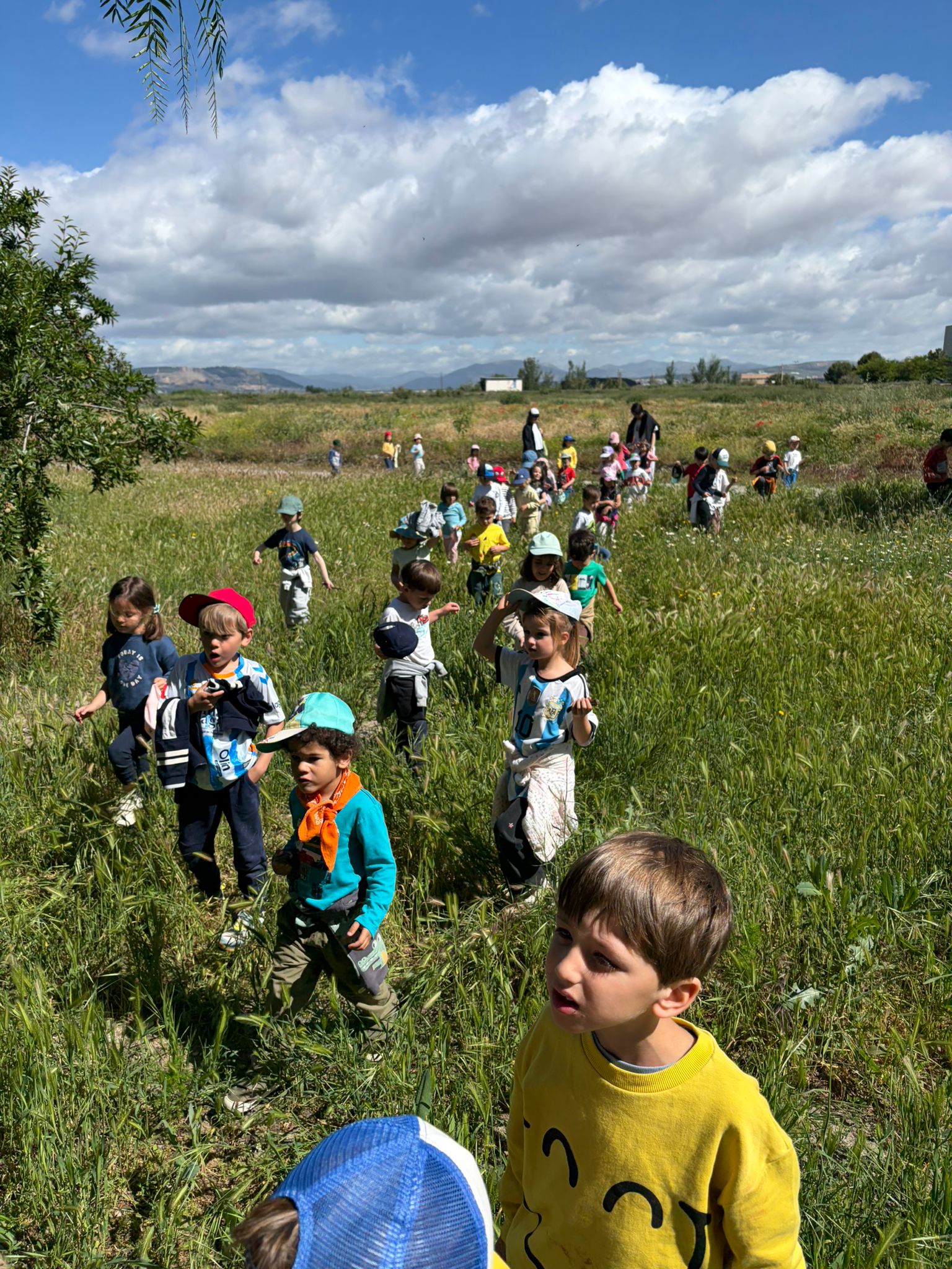 IMG-20260512-WA0026