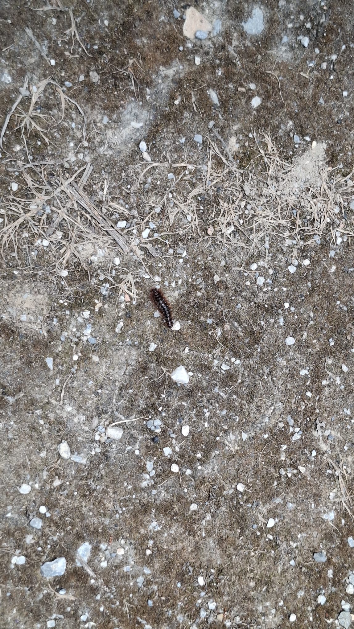 IMG-20260515-WA0051