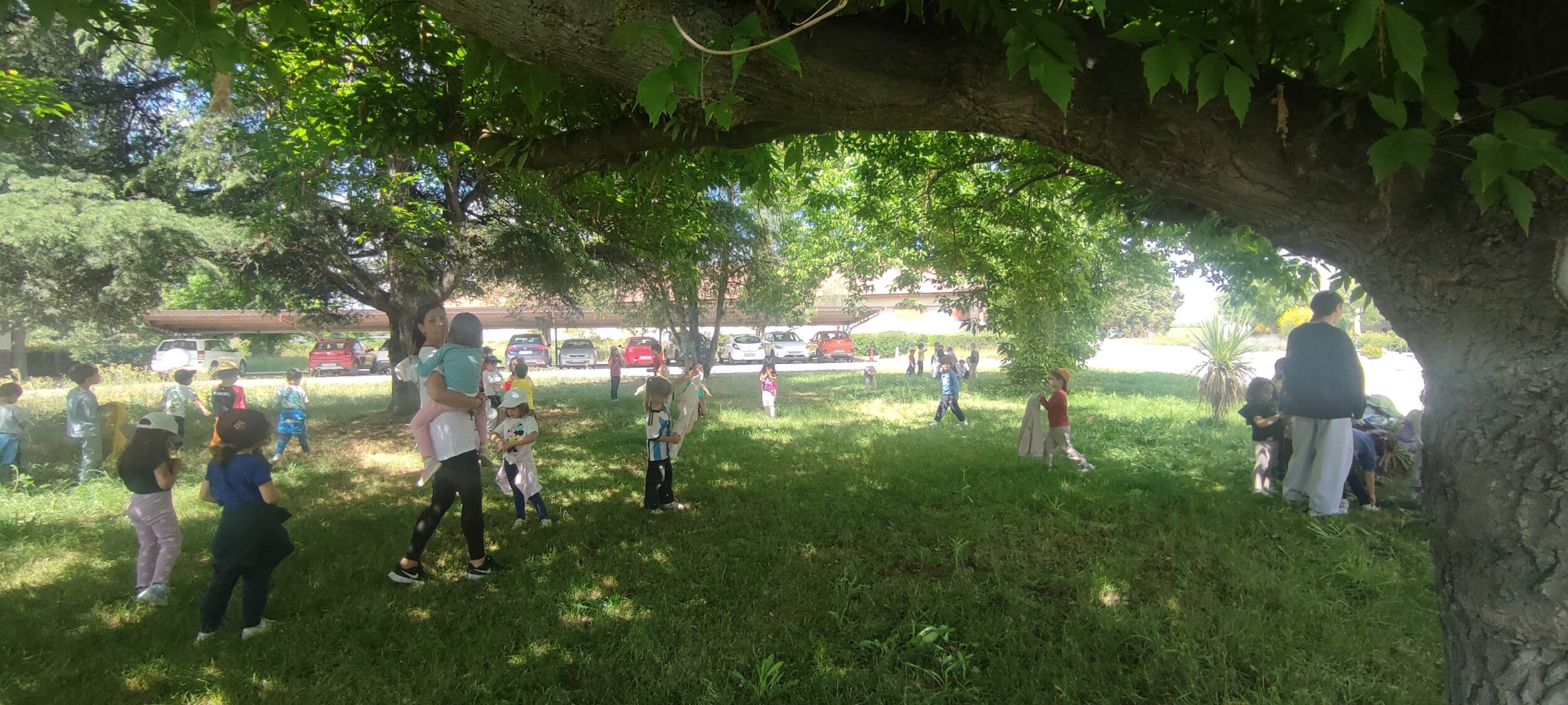 IMG_20260512_120830