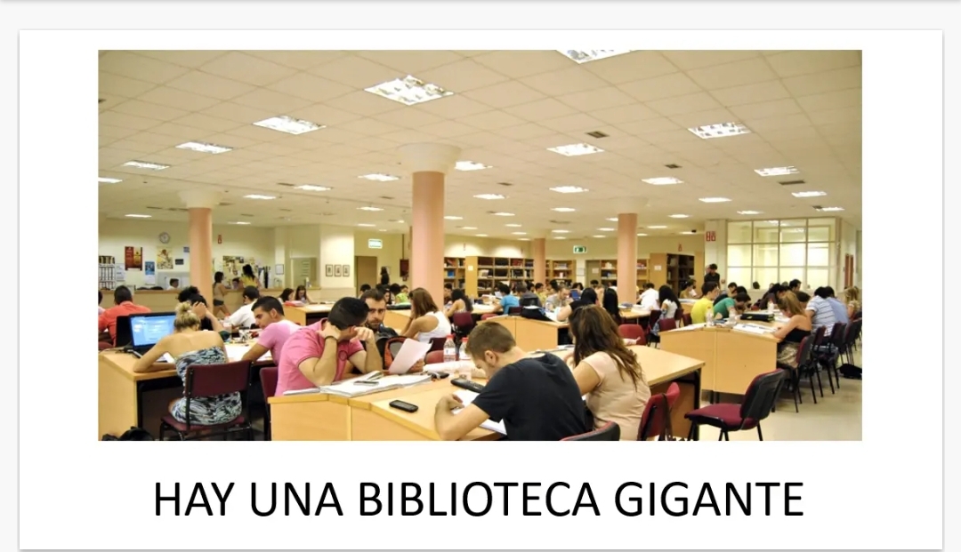 Screenshot_2026-05-26-20-00-10-822_com.android.chrome-edit