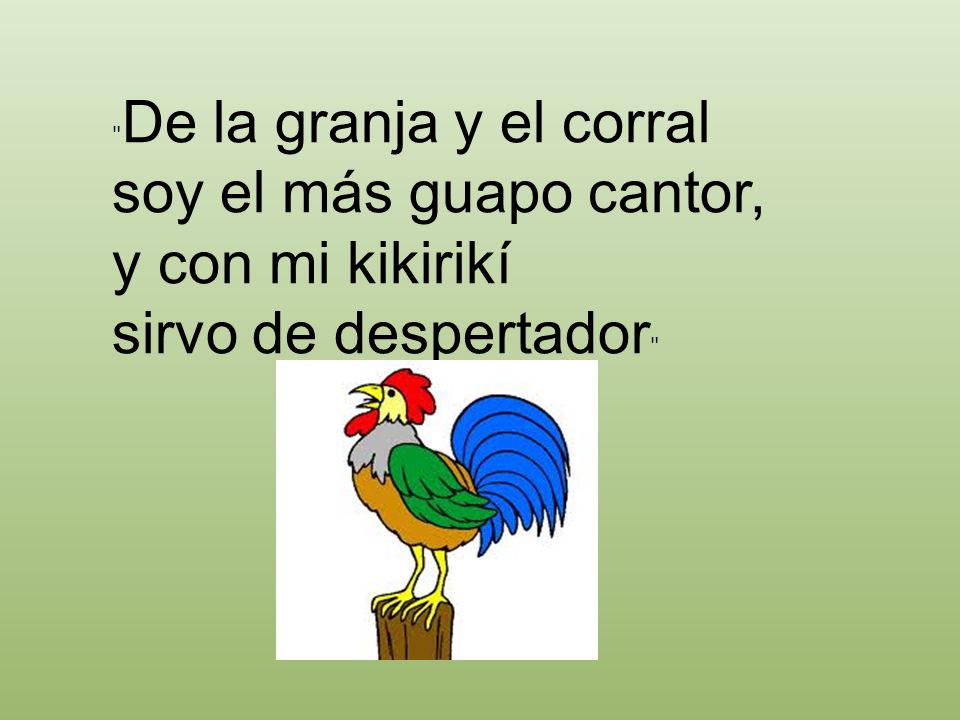 De la granja y el corral soy el más guapo cantor, y con mi kikirikí sirvo de despertador