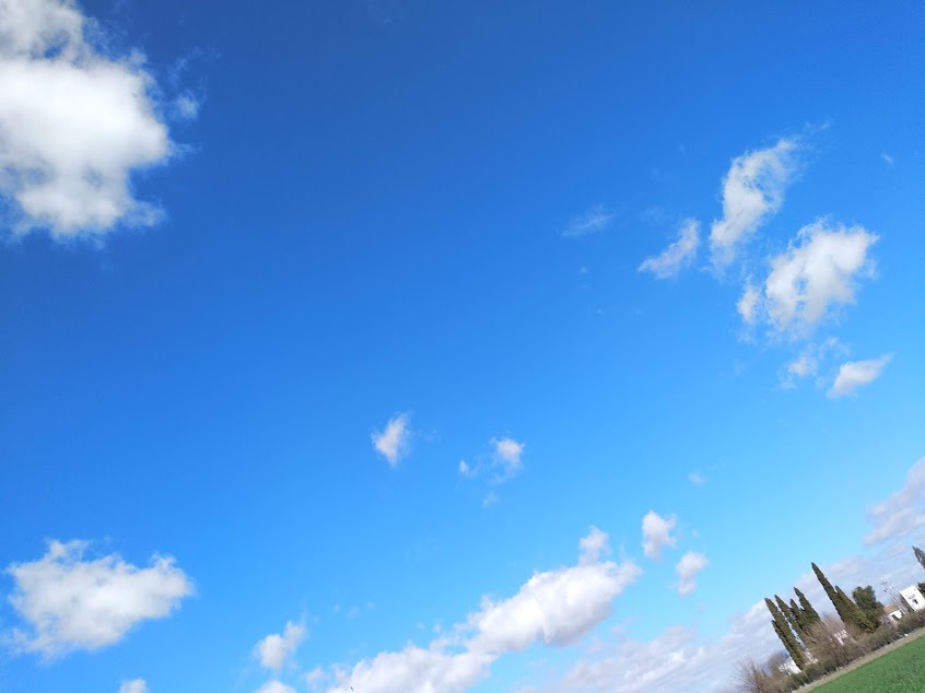 IMG_20190307_115543_11