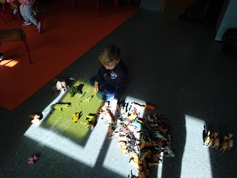 IMG_20190502_0957531