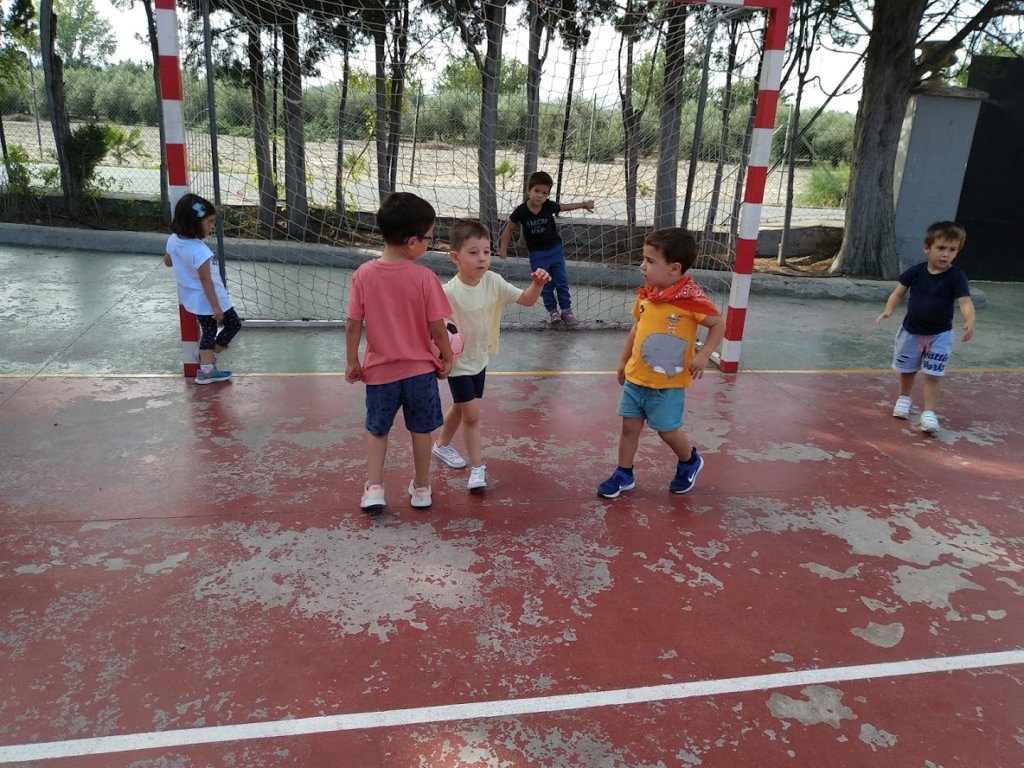 IMG_20191011_115218_BURST1