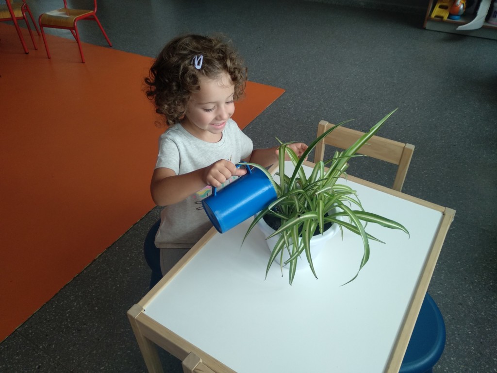 IMG_20200917_154545_BURST1