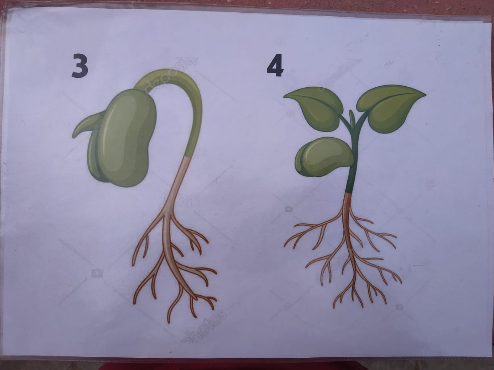 WhatsApp Image 2021-10-29 at 13.53.37 (1)