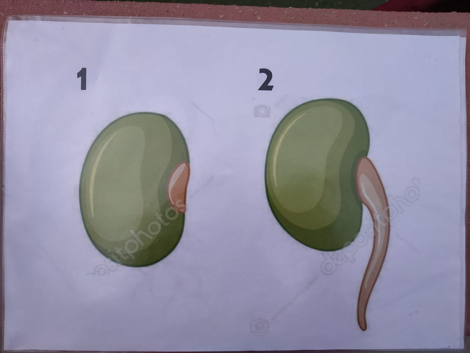 WhatsApp Image 2021-10-29 at 13.53.37 (2)