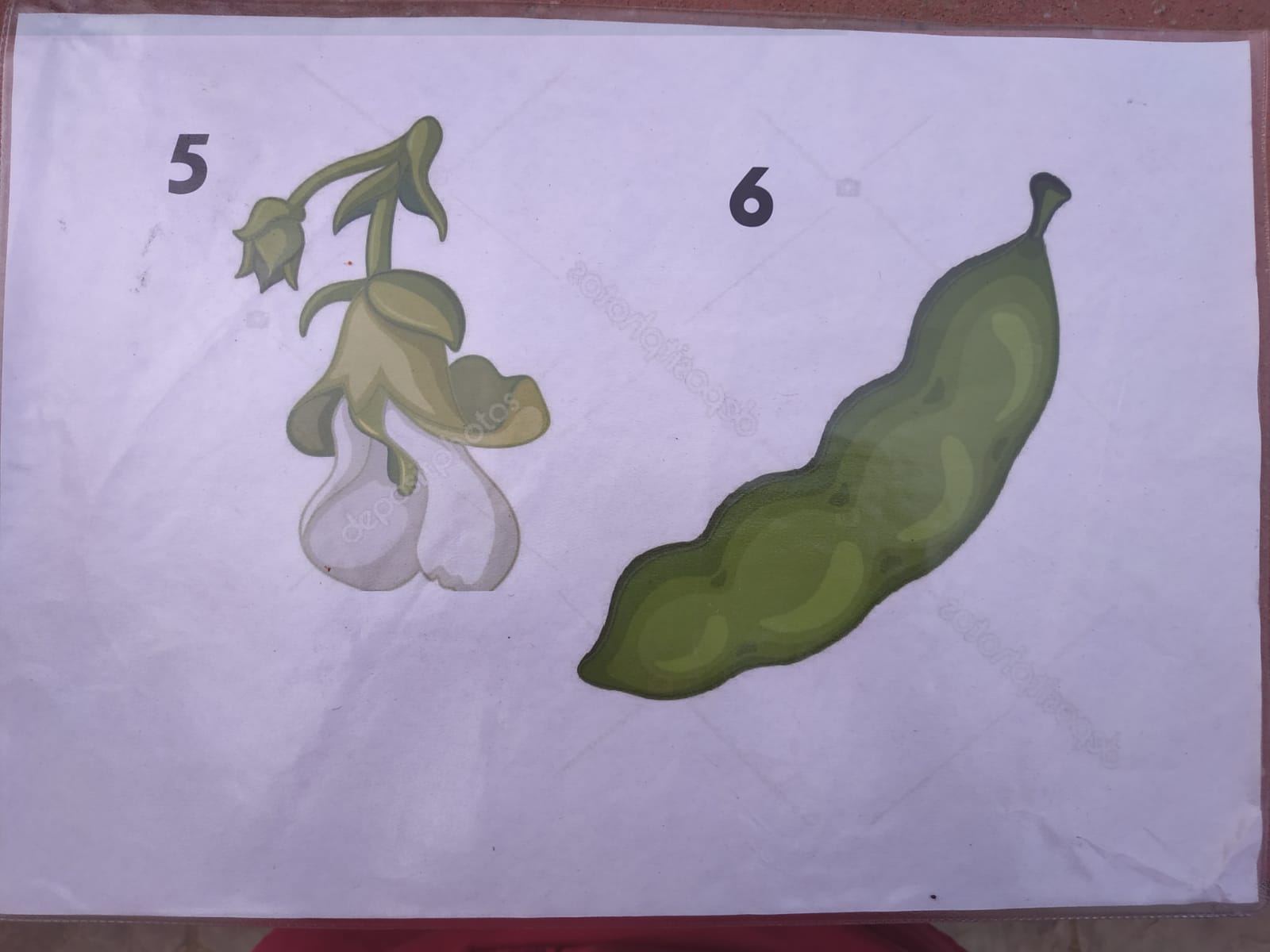 WhatsApp Image 2021-10-29 at 13.53.37