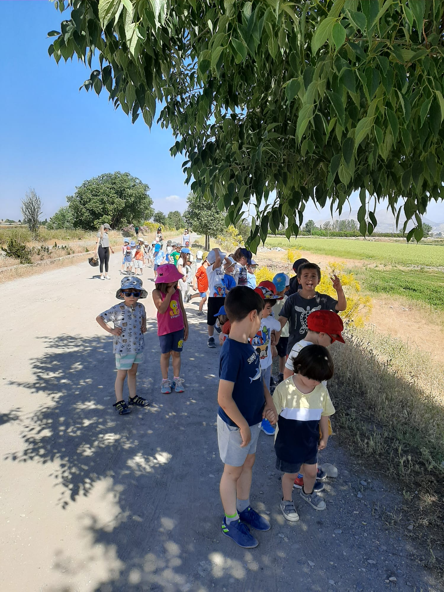 WhatsApp Image 2022-05-24 at 1.56.54 PM (1)