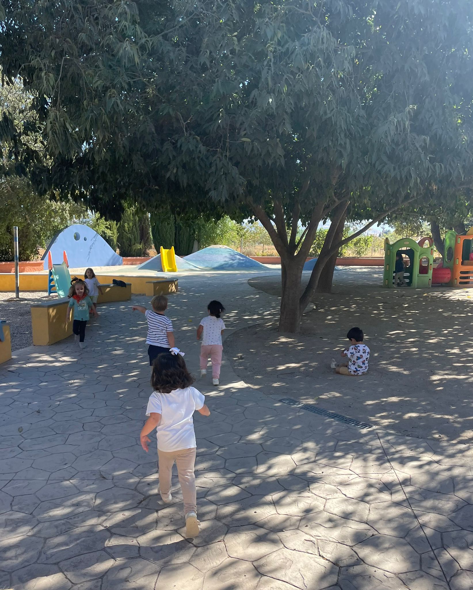 PHOTO-2022-09-28-15-45-23 2