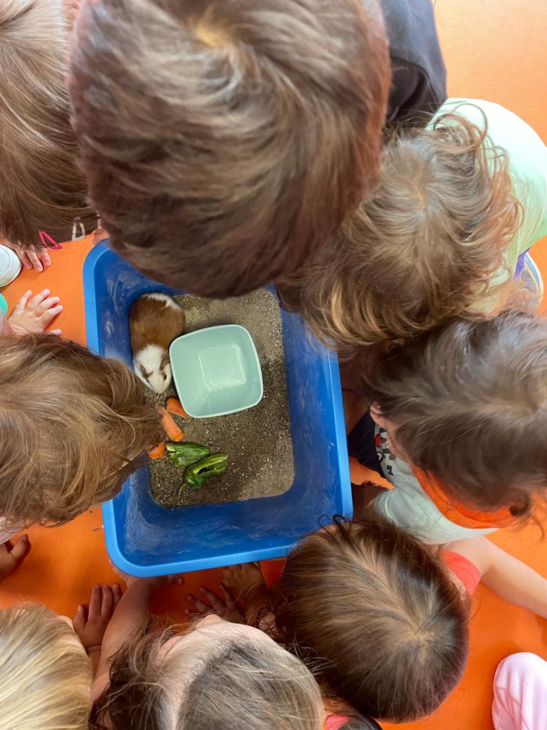 PHOTO-2022-10-26-14-35-28 7