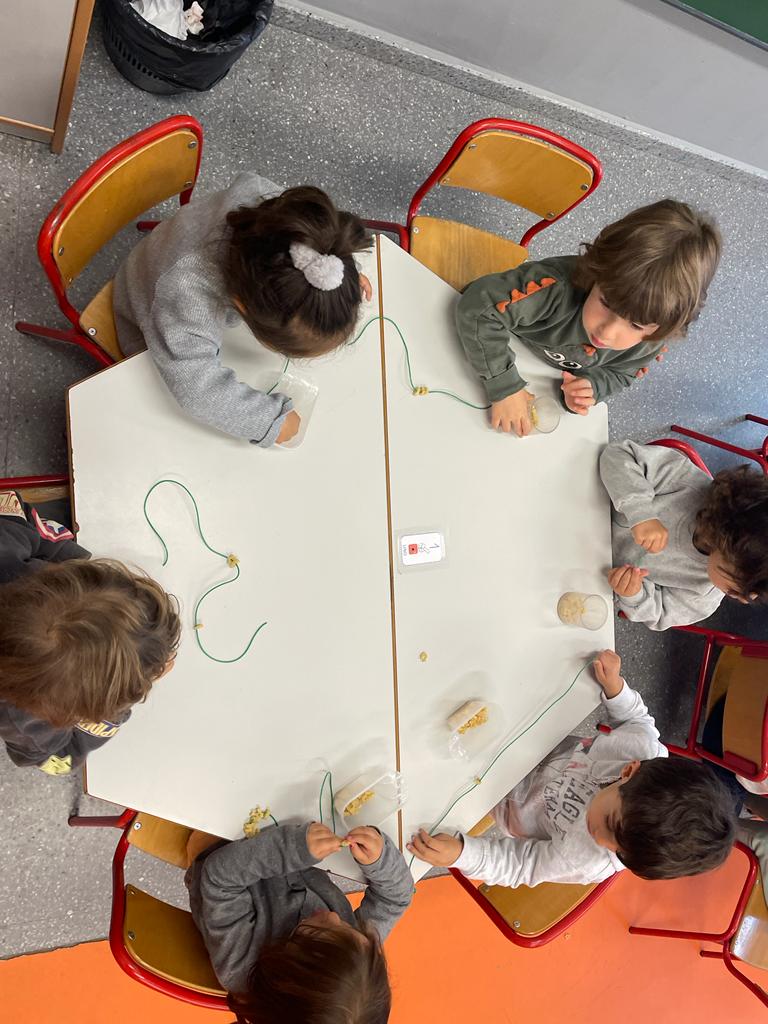 PHOTO-2022-11-17-11-34-39