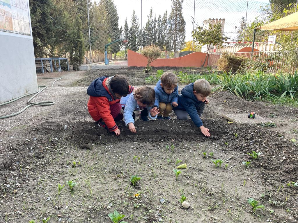 PHOTO-2022-11-22-13-43-14 10