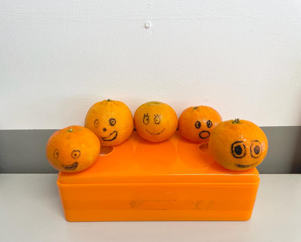 PHOTO-2022-12-12-11-15-02 8