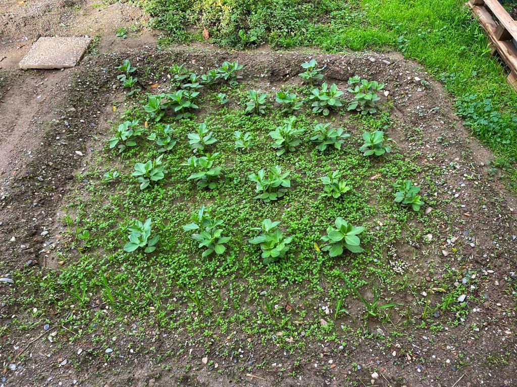 PHOTO-2022-12-12-13-38-36