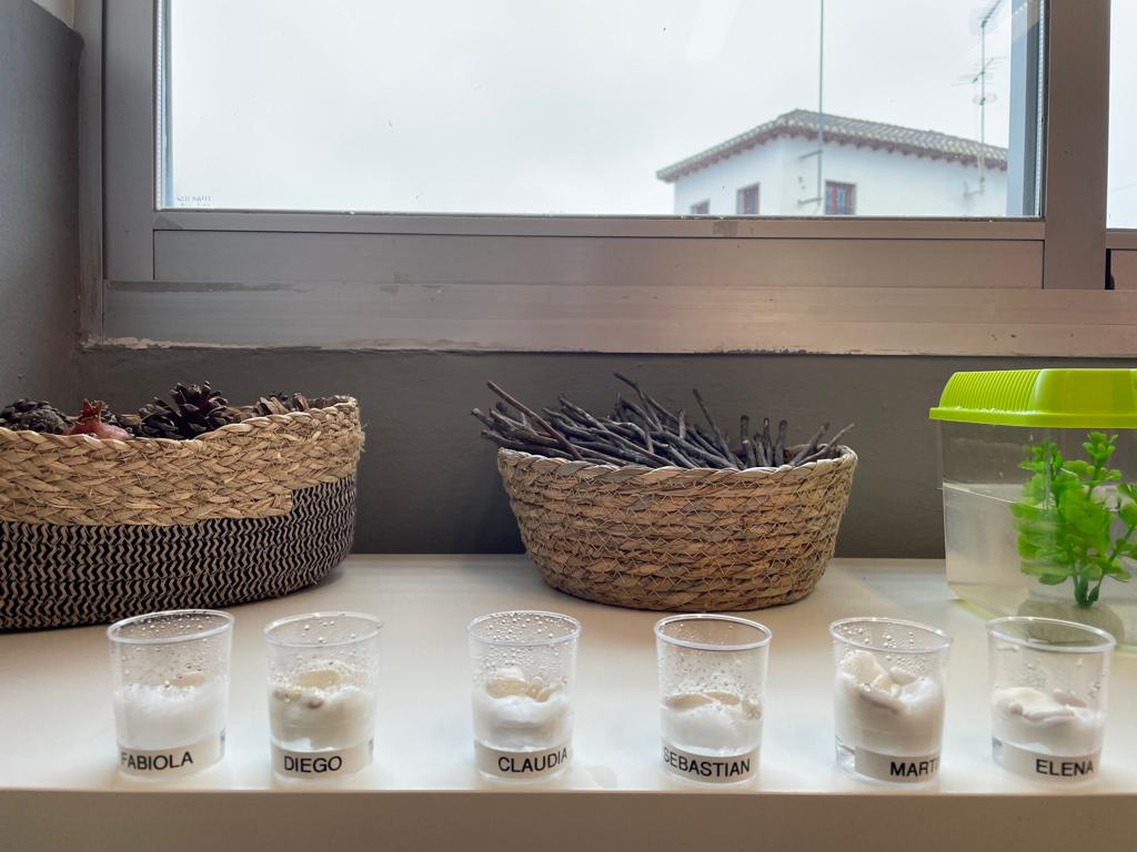 PHOTO-2023-01-17-11-26-12 25