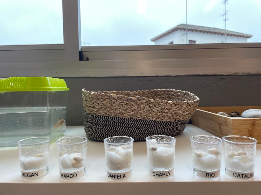 PHOTO-2023-01-17-11-26-12 26