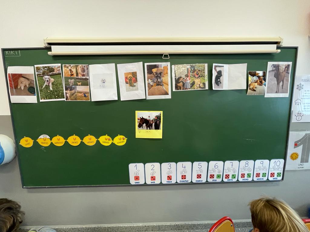 PHOTO-2023-01-18-11-43-00 24