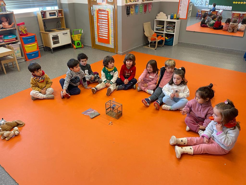 PHOTO-2023-01-19-11-42-00 2