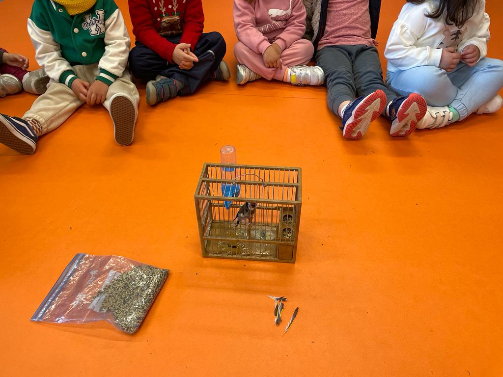 PHOTO-2023-01-19-11-42-00 3