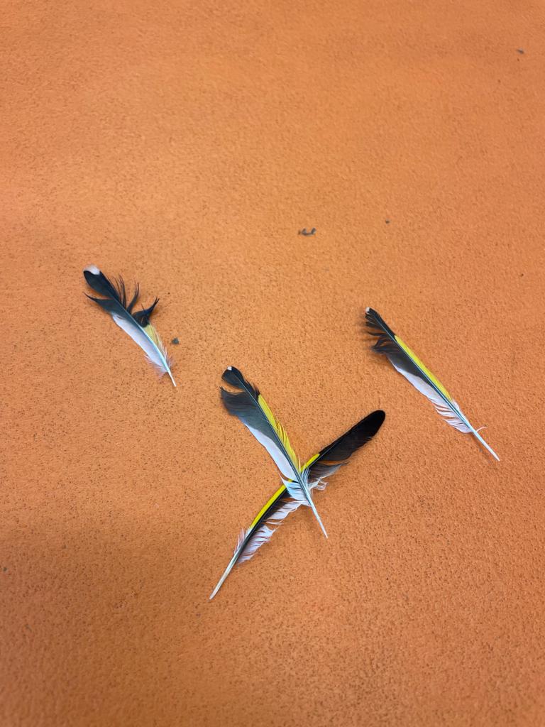 PHOTO-2023-01-19-11-42-00 4