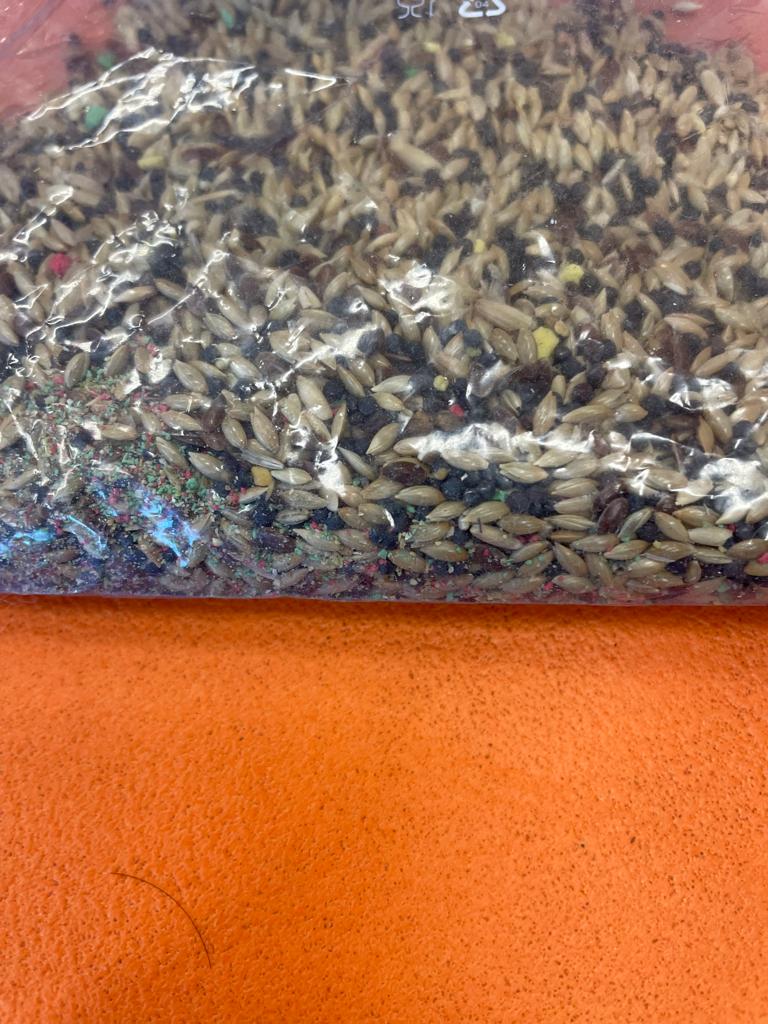 PHOTO-2023-01-19-11-42-00 5