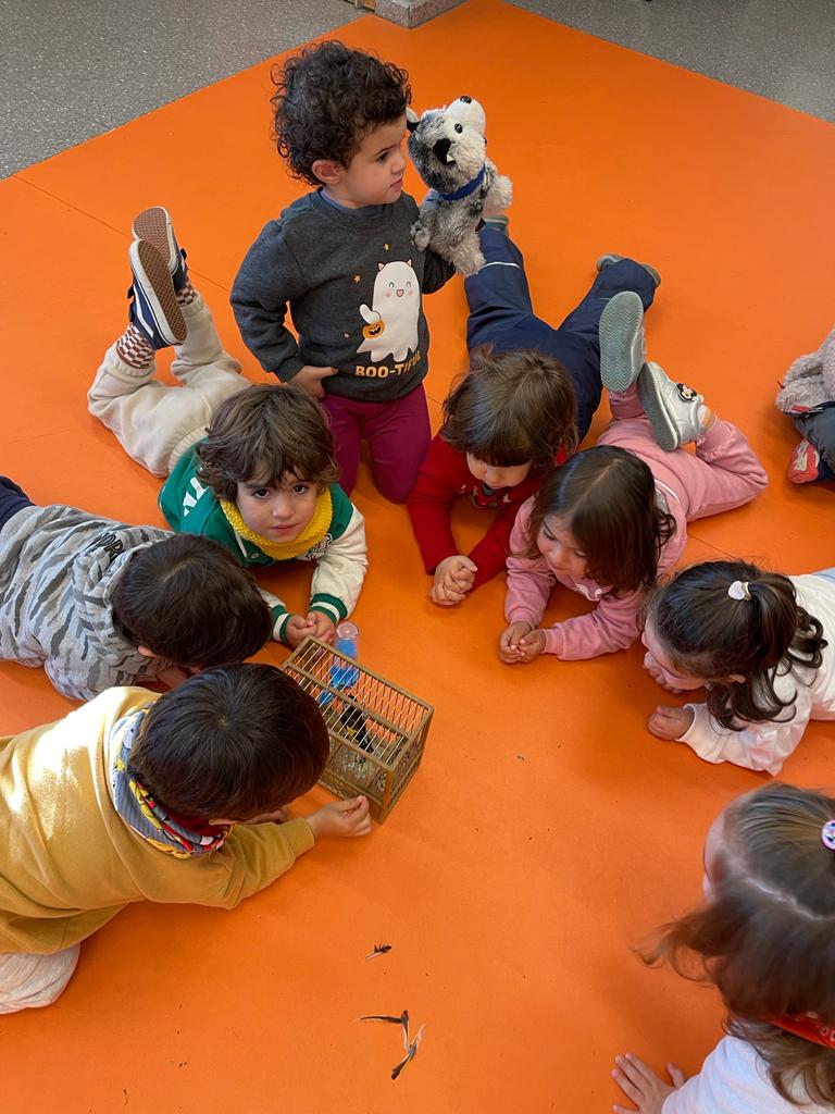 PHOTO-2023-01-19-11-42-00 6