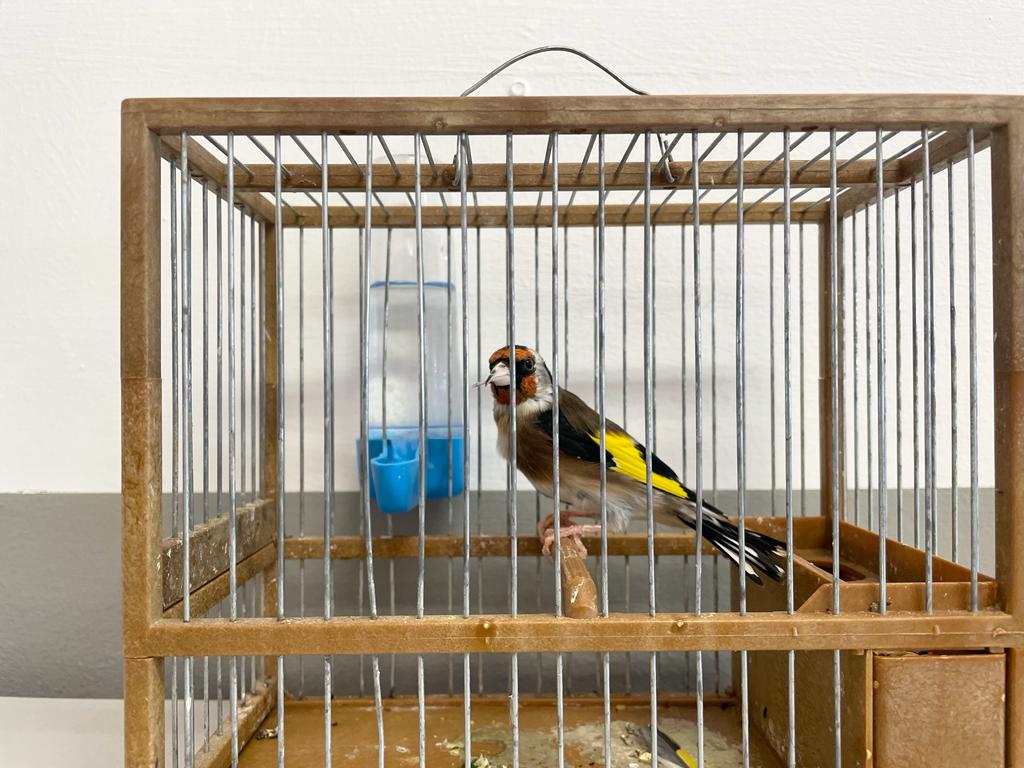 PHOTO-2023-01-19-11-42-00