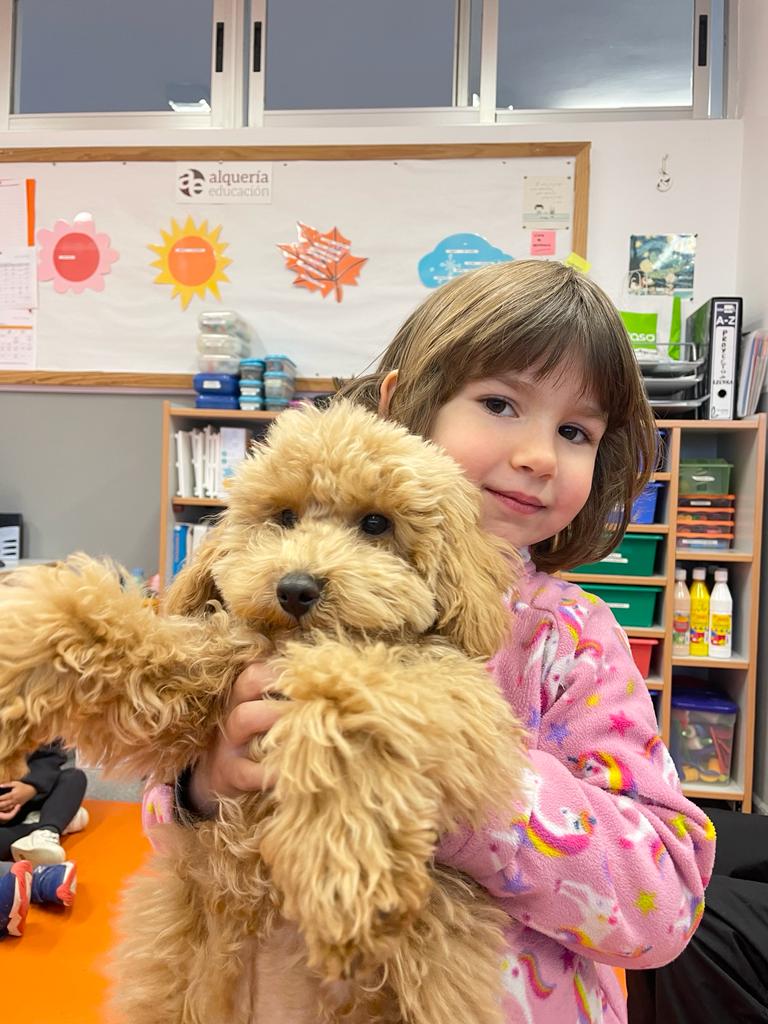 PHOTO-2023-01-20-09-47-29 4