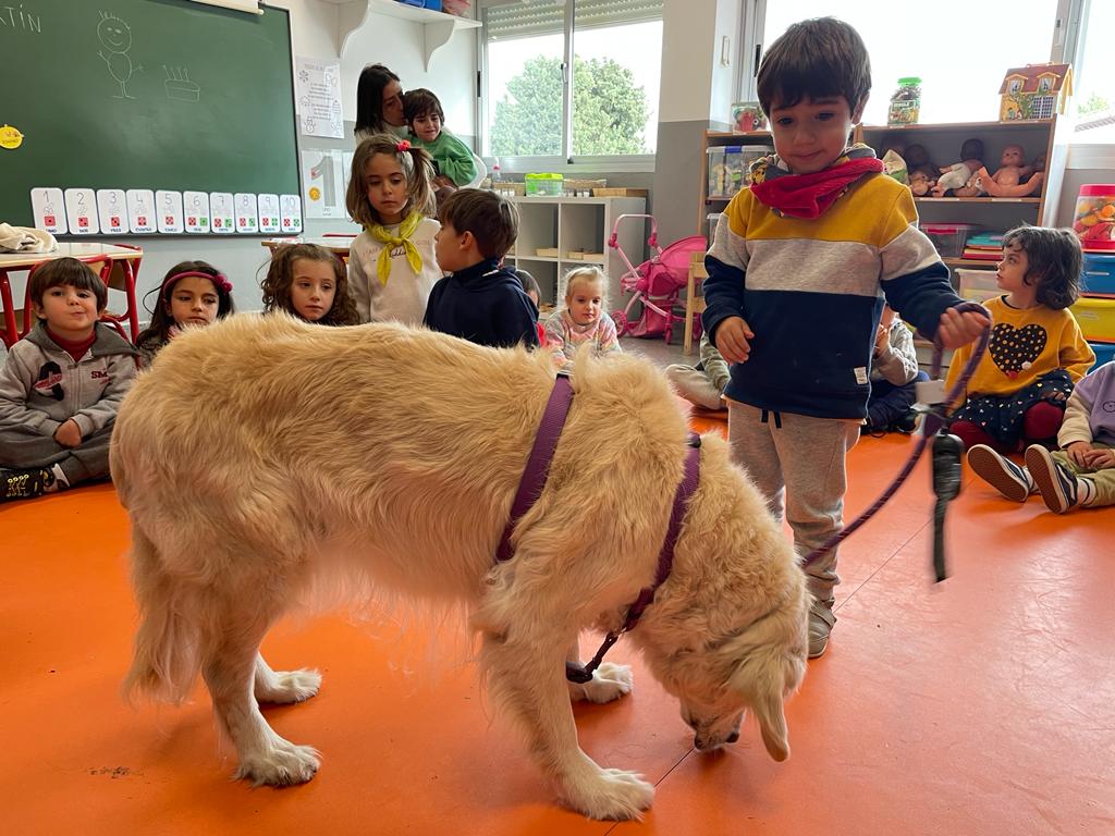 PHOTO-2023-01-20-13-43-25 3