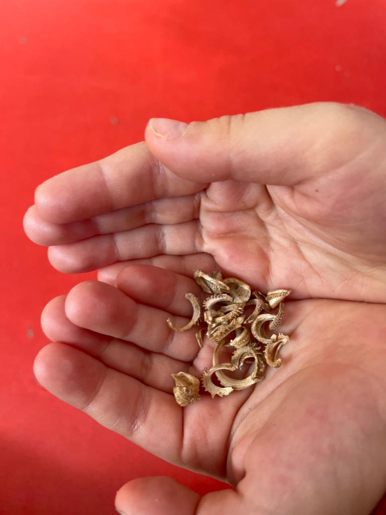 PHOTO-2023-01-20-18-36-52