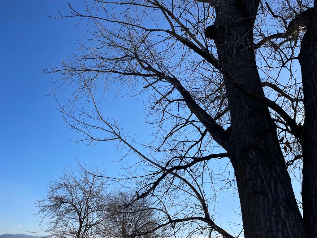 PHOTO-2023-01-24-14-25-18 32