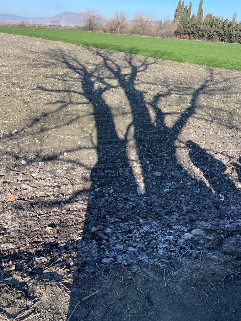 PHOTO-2023-01-24-14-25-18 33