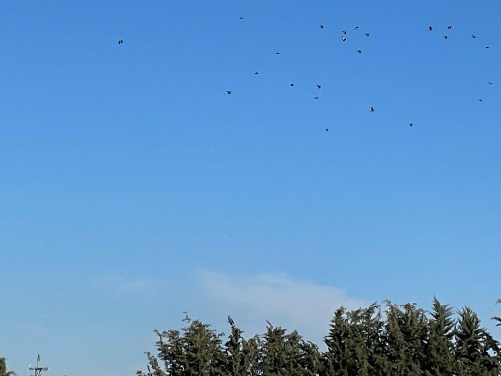 PHOTO-2023-01-24-14-25-18 39