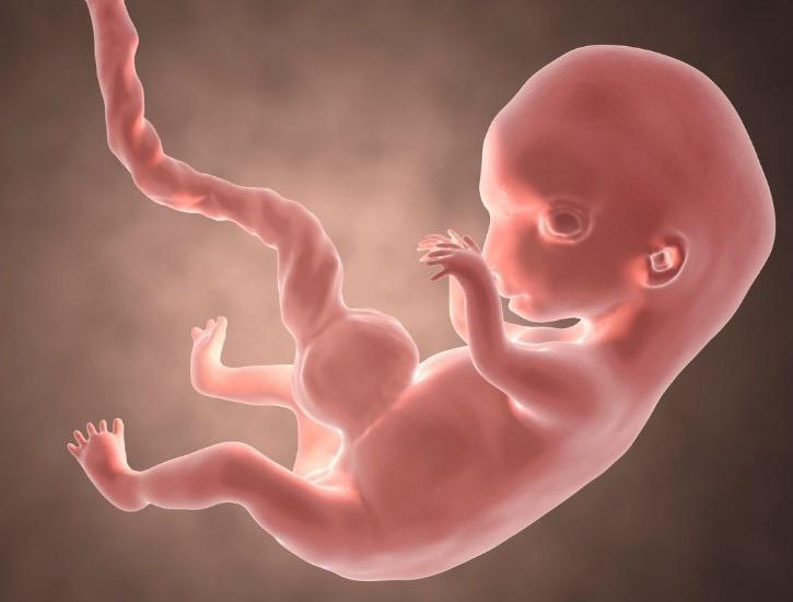 PHOTO-2023-03-09-11-13-24 16