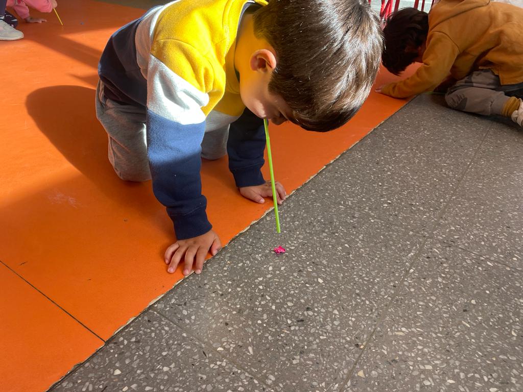 PHOTO-2023-03-17-09-59-03 6