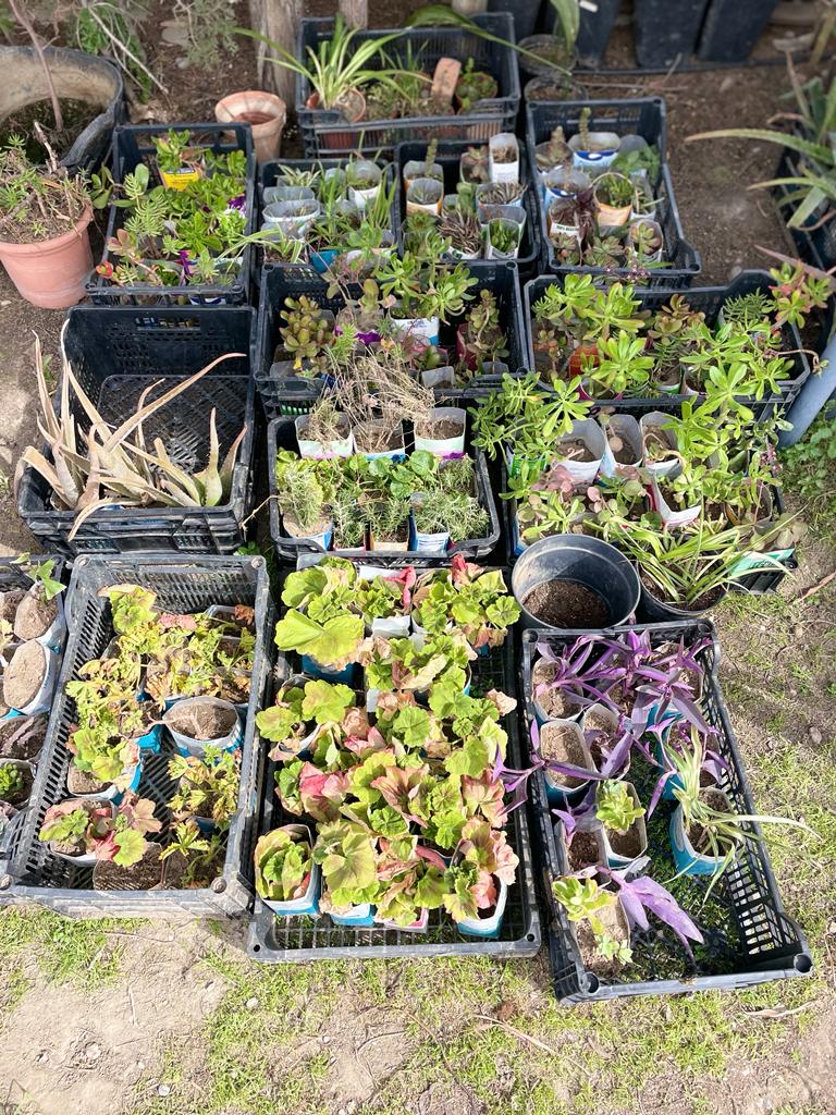 PHOTO-2023-03-24-17-30-16 10