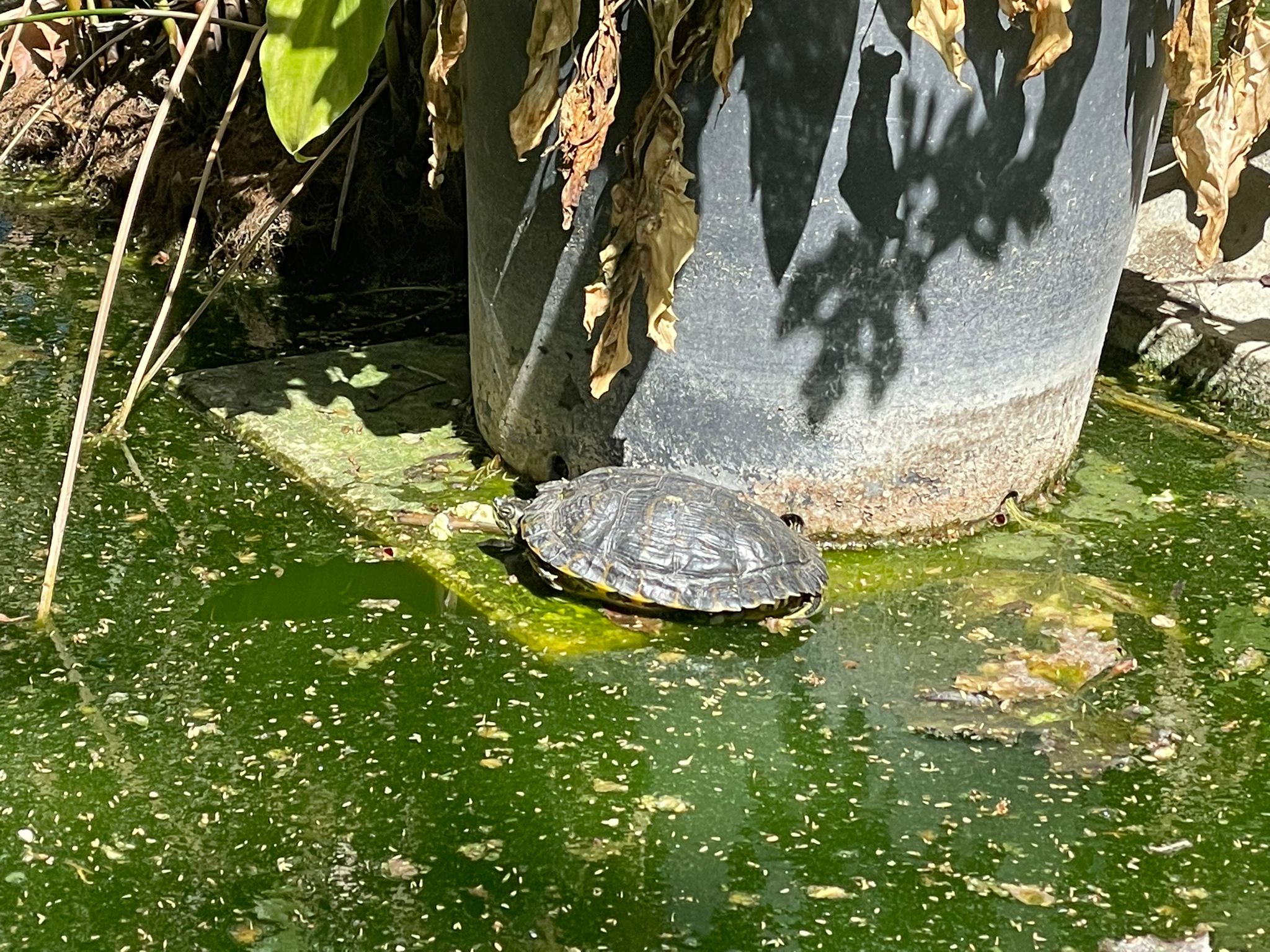 PHOTO-2023-03-30-16-03-50