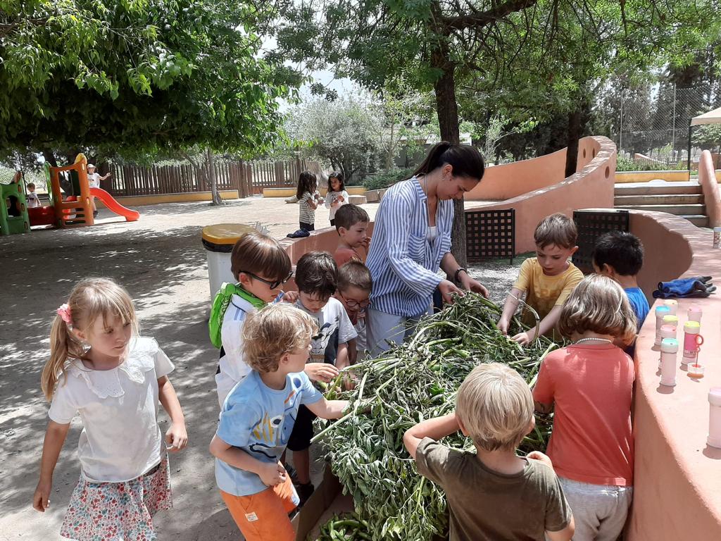 PHOTO-2023-05-02-14-46-58 2