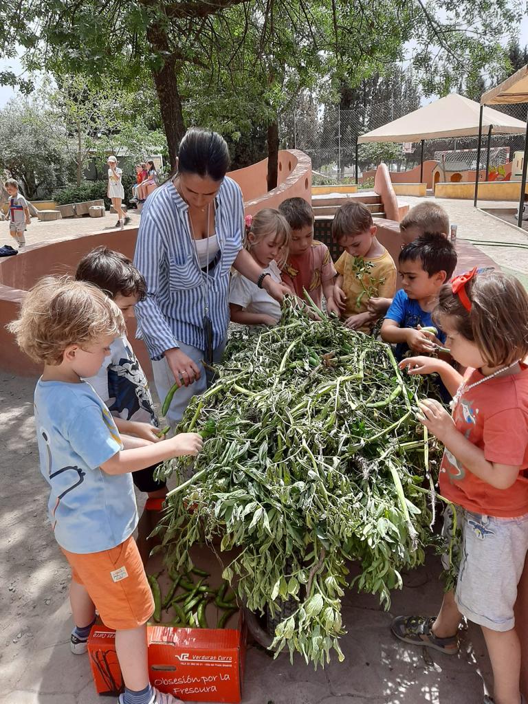 PHOTO-2023-05-02-14-46-58 3