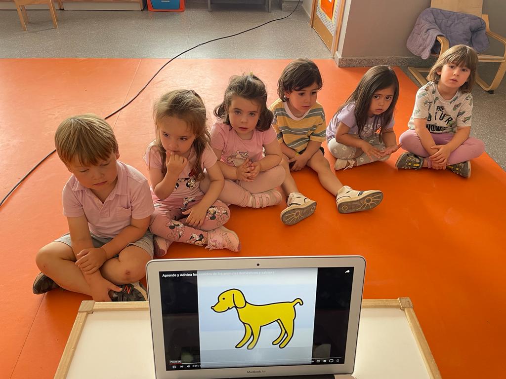 PHOTO-2023-05-04-16-00-49 3