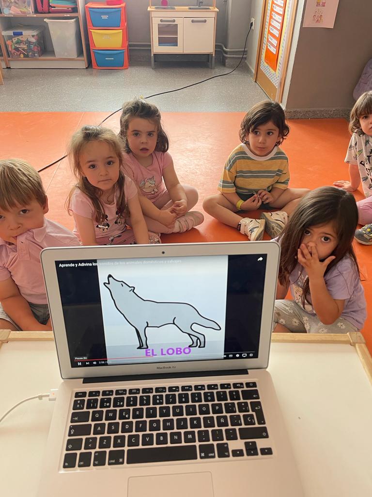 PHOTO-2023-05-04-16-00-49 4