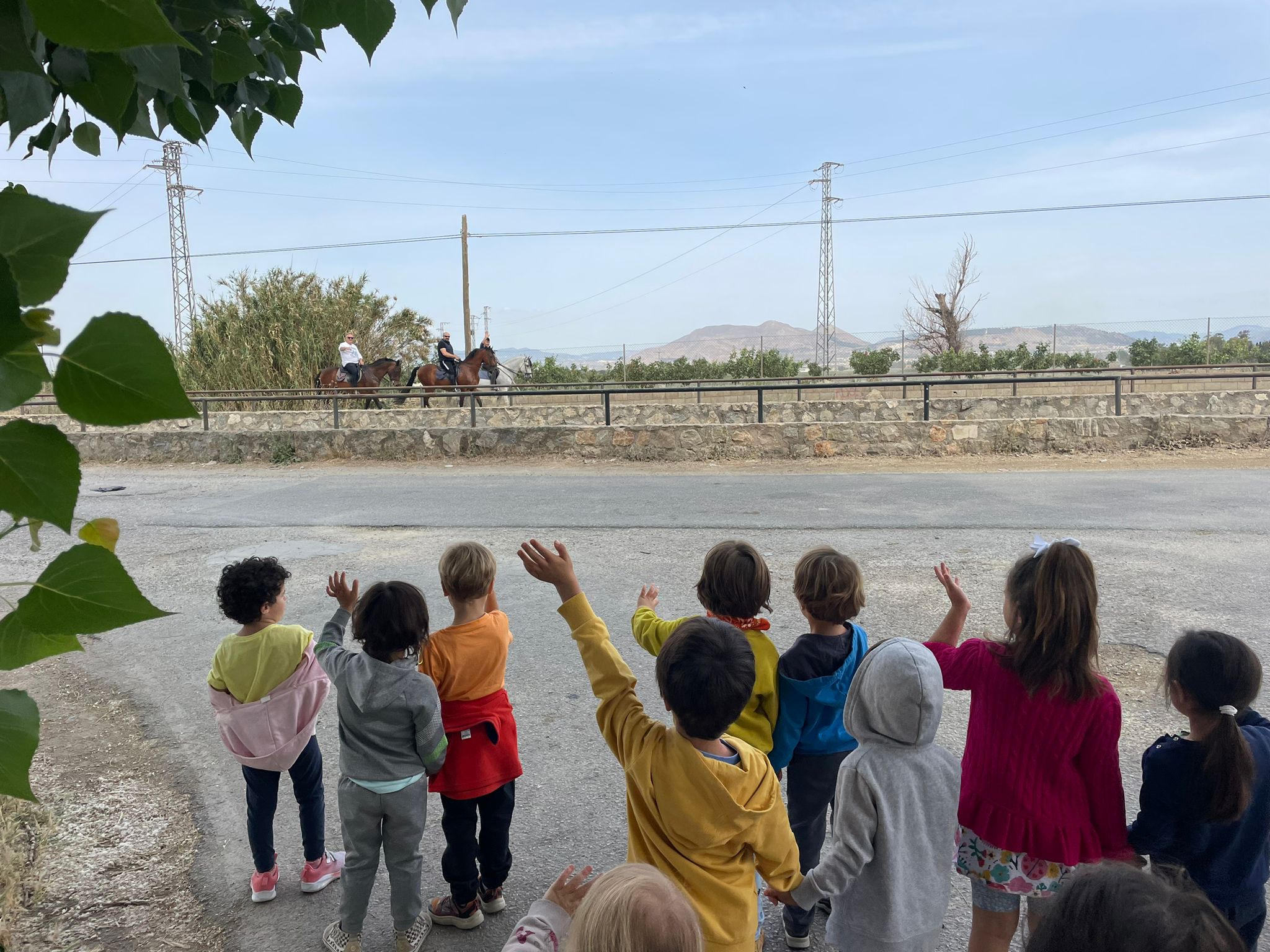 PHOTO-2023-05-17-12-57-31 2