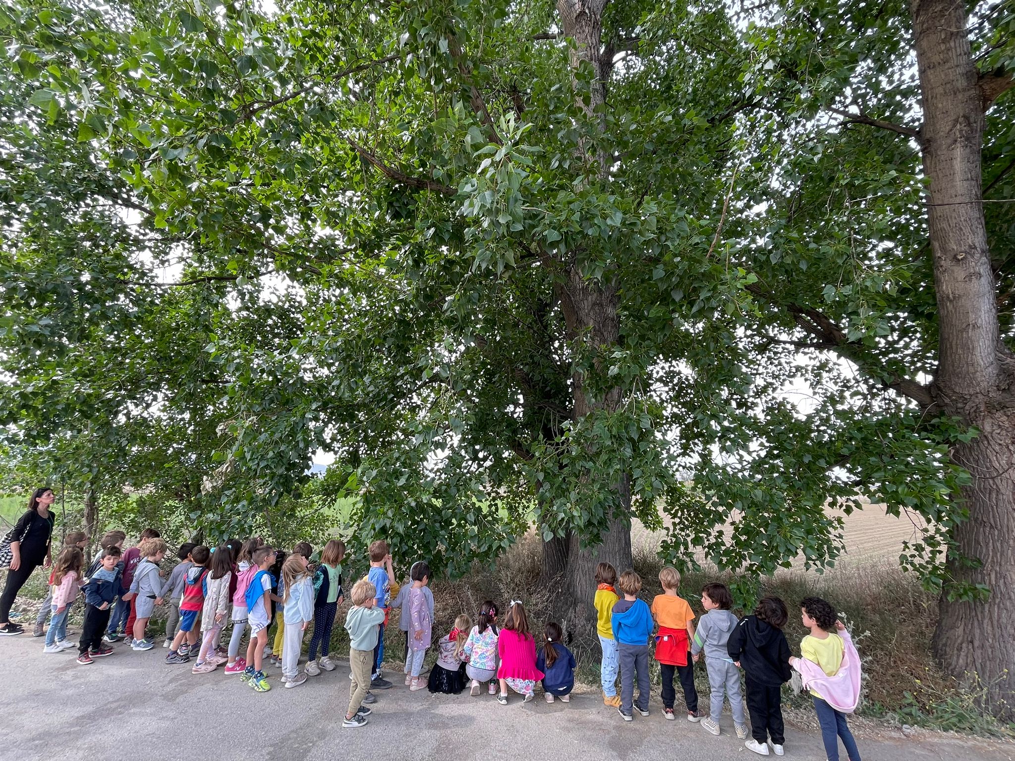 PHOTO-2023-05-17-12-57-31