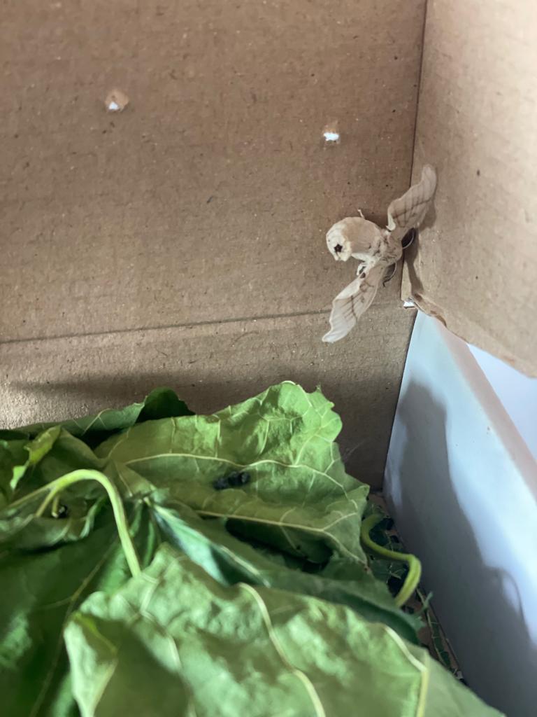 PHOTO-2023-05-29-14-17-42 2