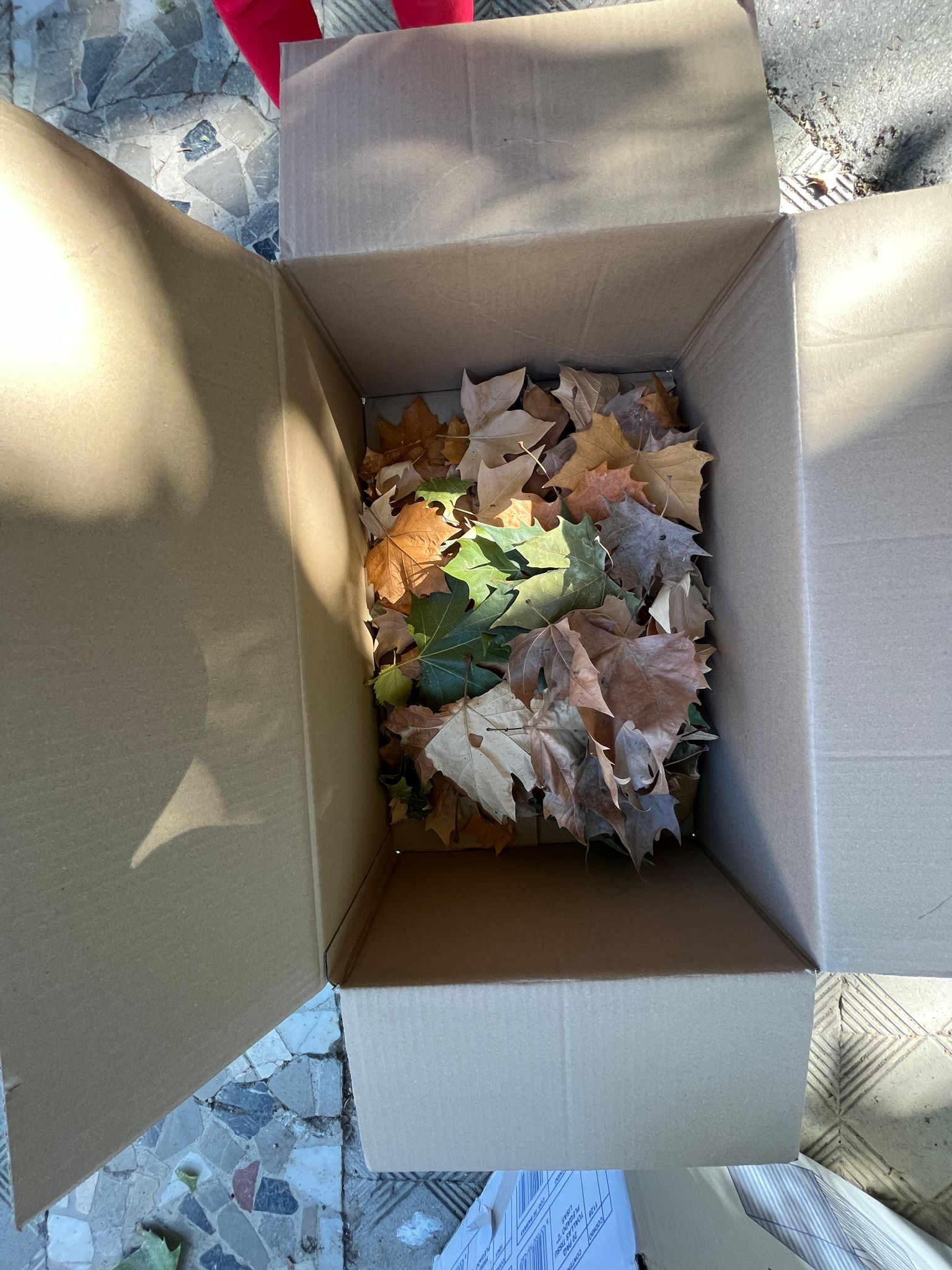 047b0f81-fcae-4a38-bd1f-e64c8ceb108b 2