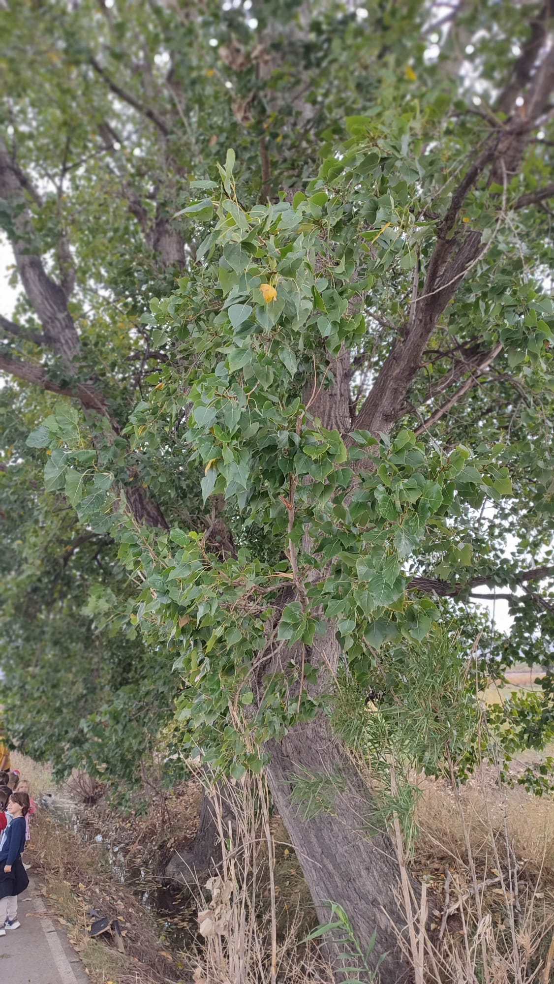 2094a1f7-42fe-4245-8f7f-b82a67751ee8