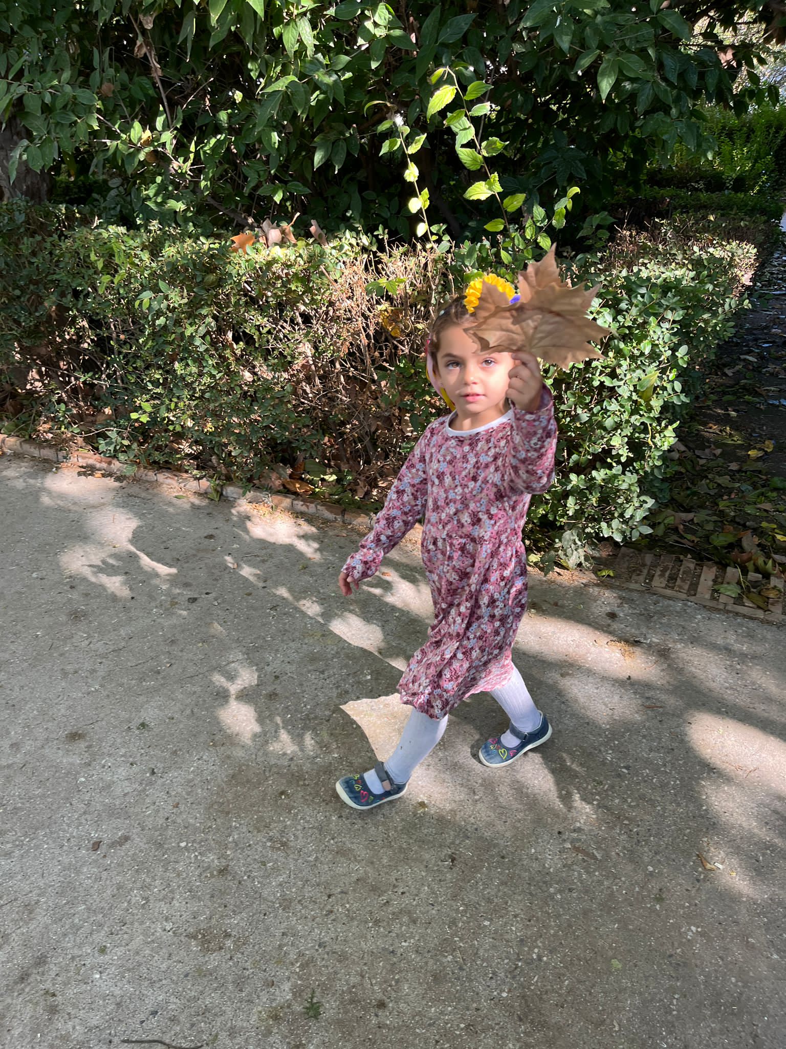 63c5859f-bad5-4086-a379-e46d84ff4490 2