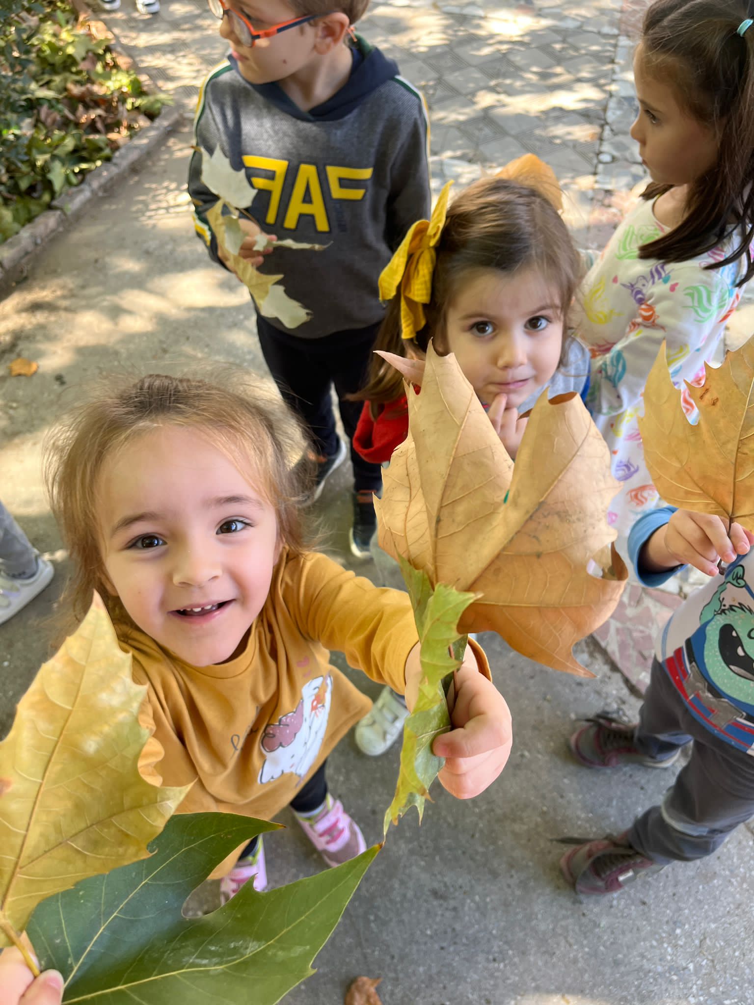 86cf06d8-37ad-4fea-beea-42830cfc81db 2