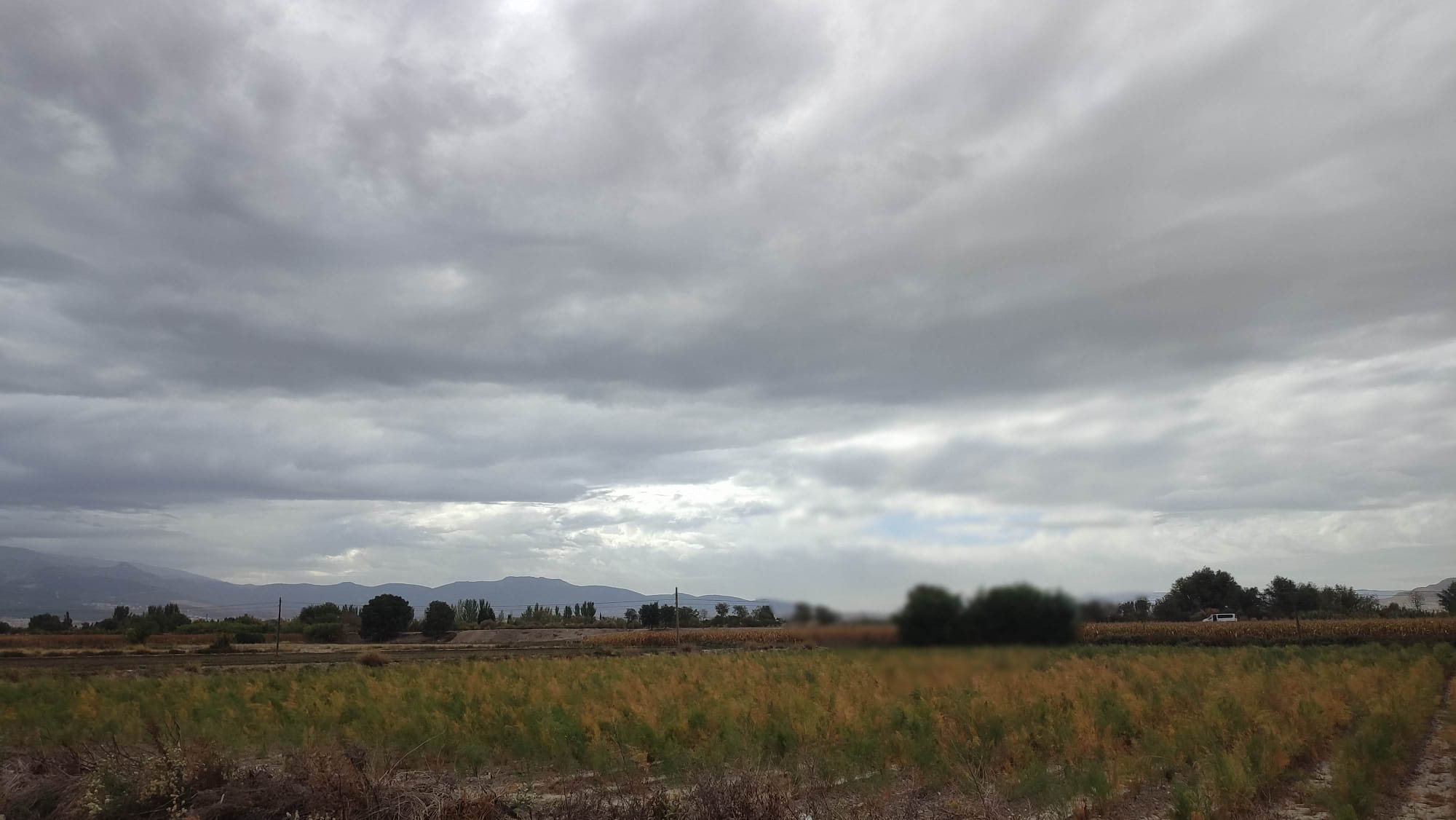 cb0398c7-7048-491b-926d-cbe16d310fd0